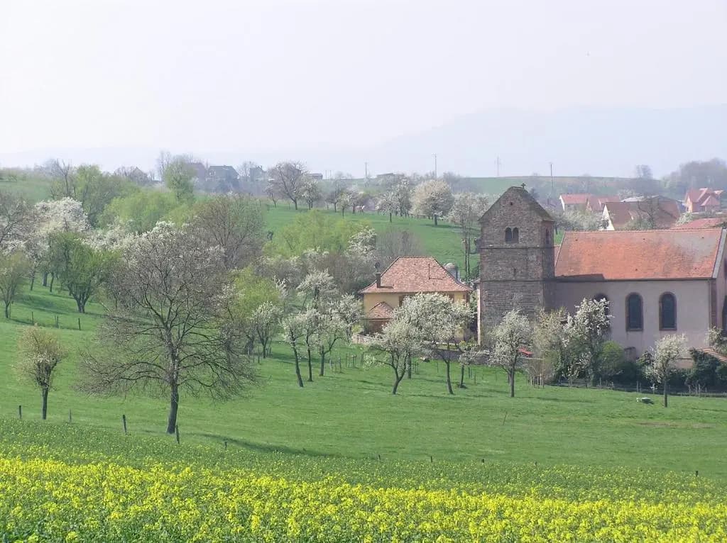 La Ferme de Marie - Photo 3