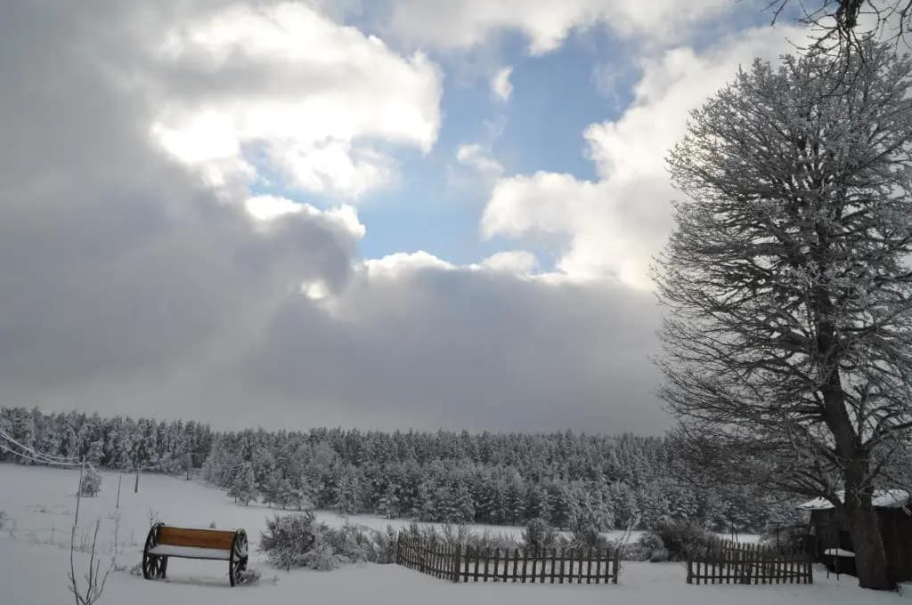 Manoir du Grail - Photo 2