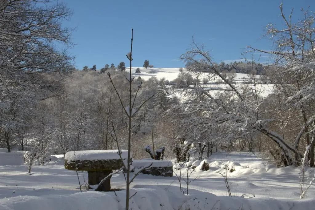 Auberge du Combaïre - Photo 2