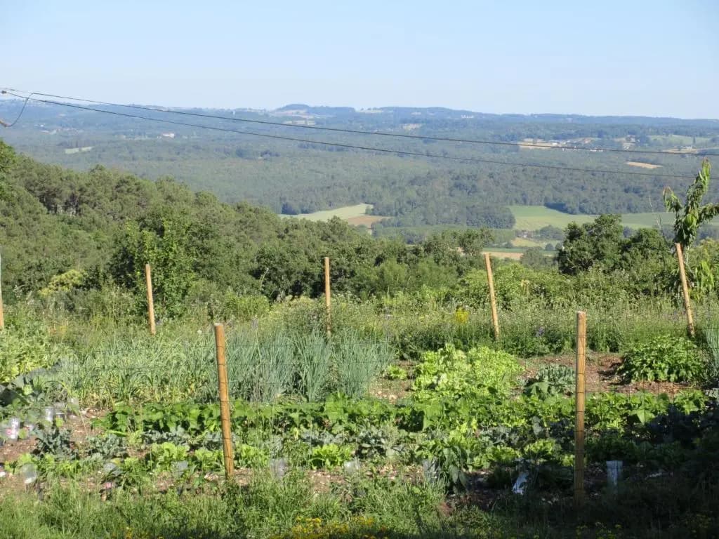 Nature et Piscine au sommet du Périgord - Photo 2