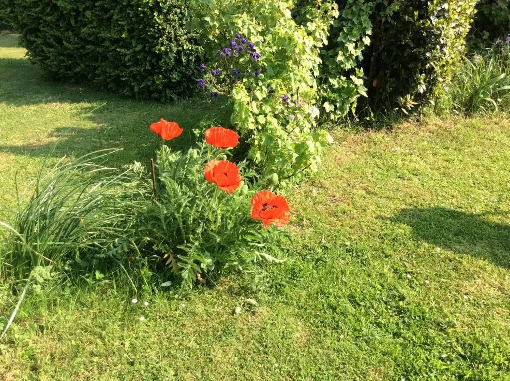 Gite a la campagne - Photo 5