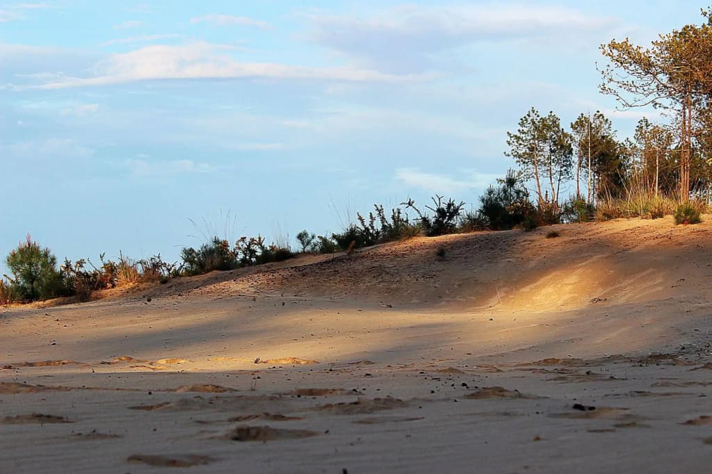 Au P'tit Creux des Landes - Miniature 8