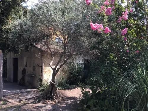 La Bigotière - Photo 1
