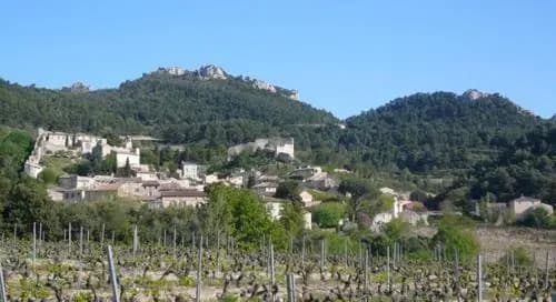 Le Mas de l'Amandier - Photo 2