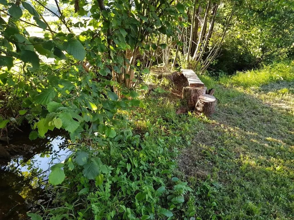 Le jardin des gouttes - Miniature 7