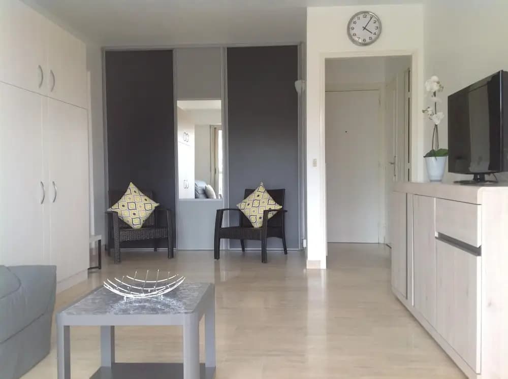 Spacious Studio in the Center of Cannes Nice Terrace Easy Walk to the Croisette and Palais - 1923 - Miniature 7
