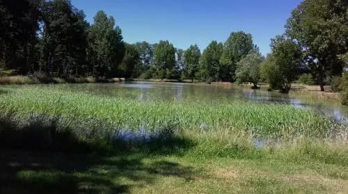 Les Chalets De Mur De Sologne - Photo 3