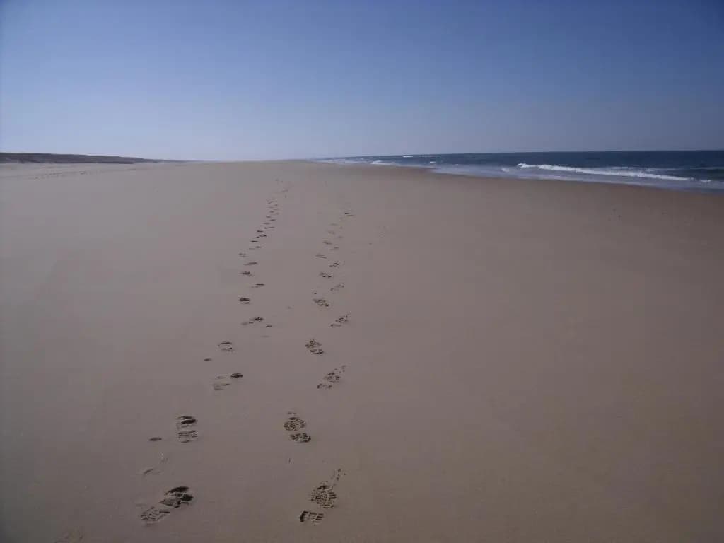 Location Landes Mimizan Plage - Photo 5