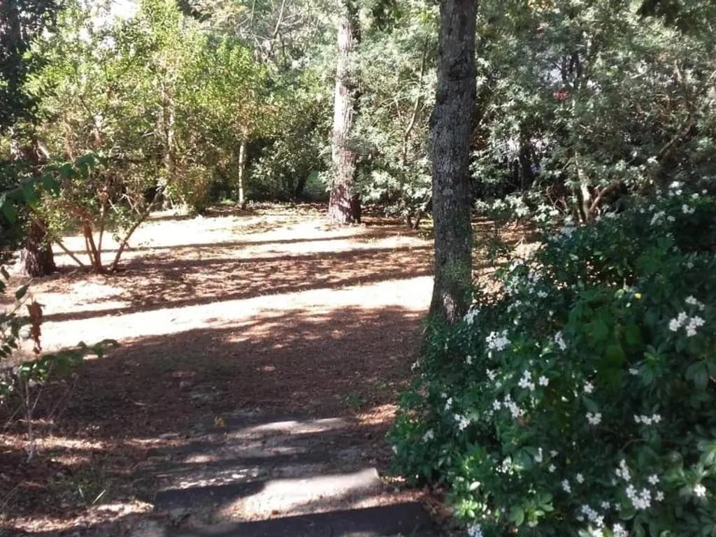Villa Arcachon, 5 pièces, 10 personnes - FR-1-319-66 - Photo 3