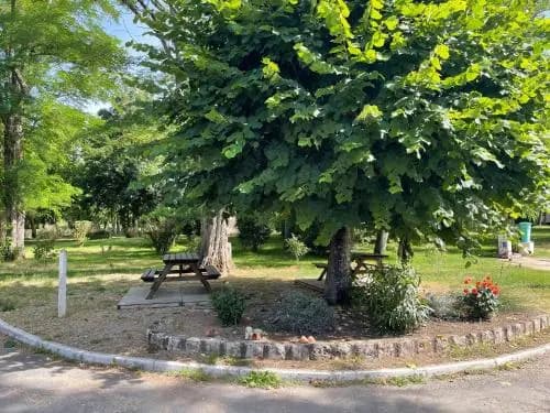Camping Les Portes de Sancerre - Miniature 6
