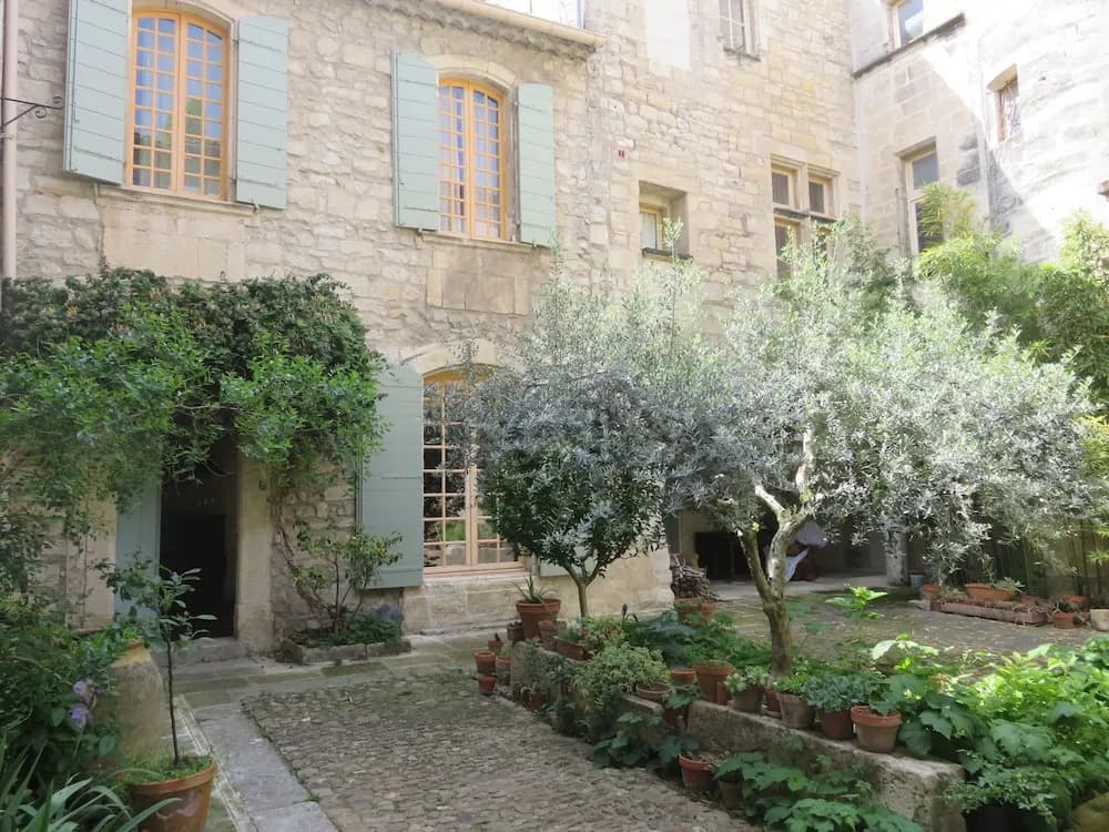 Hôtel Particulier Léautaud de Mas Blanc - Photo 1