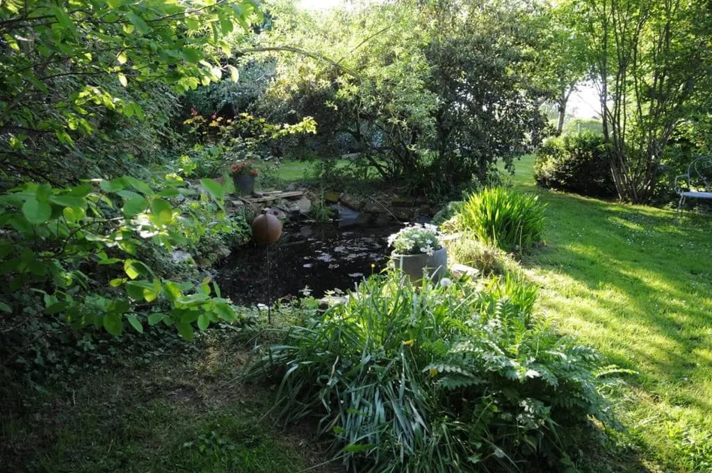 Le Bois des Pierres - Photo 2
