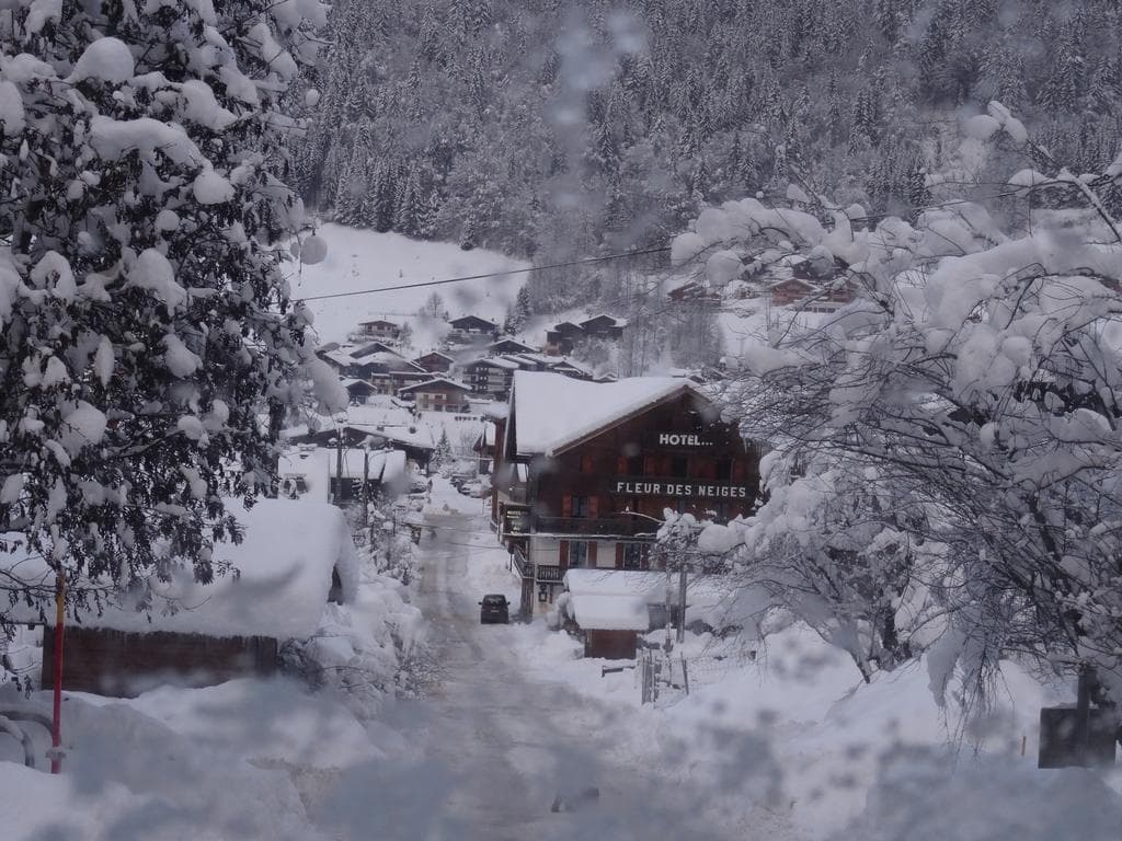 Fleur Des Neiges - Photo 3