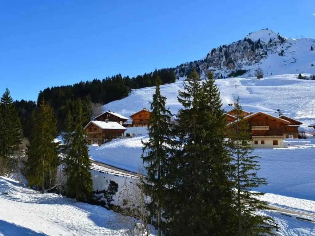 Appartement Le Grand-Bornand, 2 pièces, 6 personnes - FR-1-241-16 - Miniature 6
