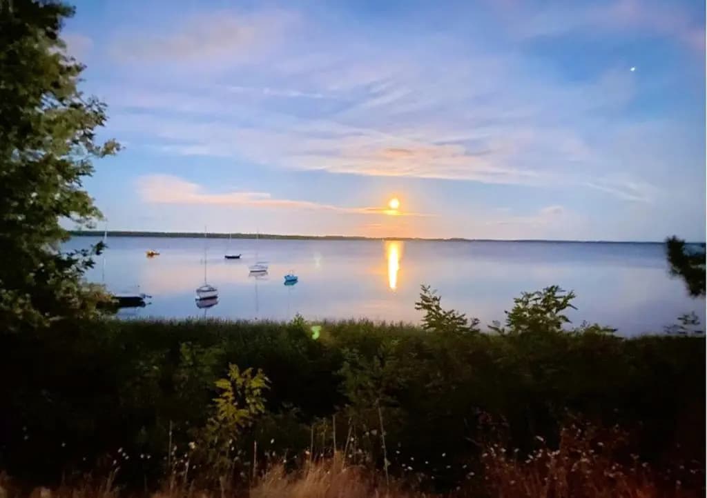 Maison de 3 chambres avec vue sur le lac et jardin clos a Lacanau a 6 km de la plage - Photo 1