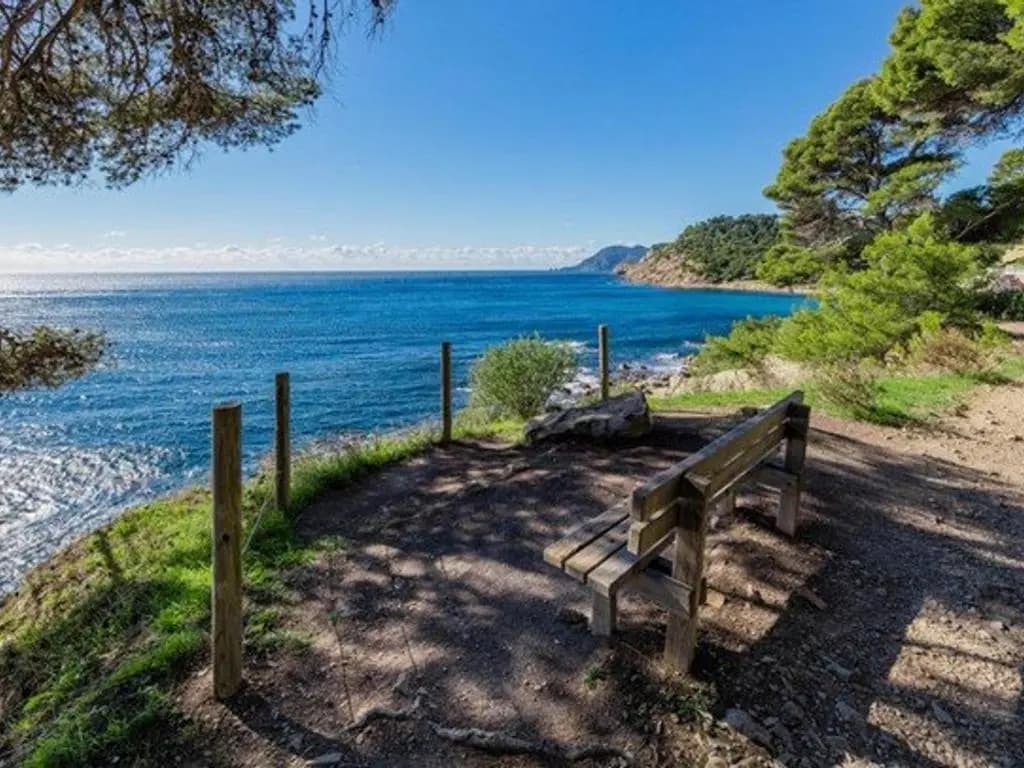 Appartement Six-Fours-les-Plages, 2 pièces, 4 personnes - FR-1-316-24 - Miniature 8