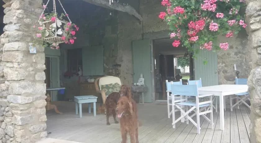 Chez Jasmin - Photo 2