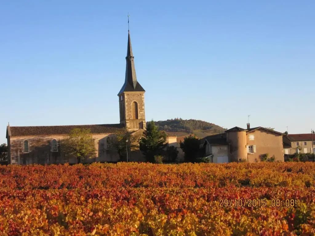 Domaine du Barvy - Photo 1