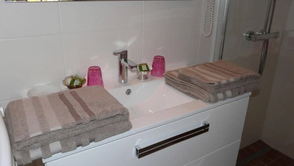 Domaine de Janis - Spa de nage - Miniature 7