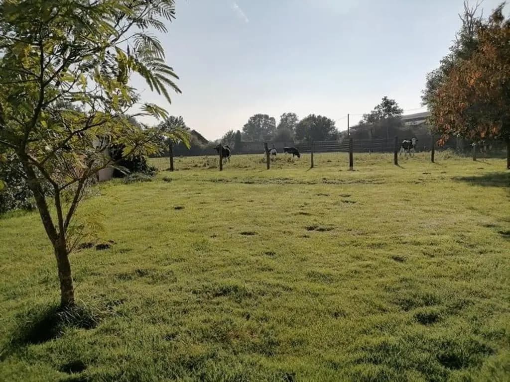 Gîte Moitron-sur-Sarthe, 4 pièces, 6 personnes - FR-1-410-334 - Photo 4