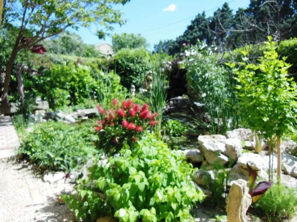 Ô Doux s'Home - Photo 2