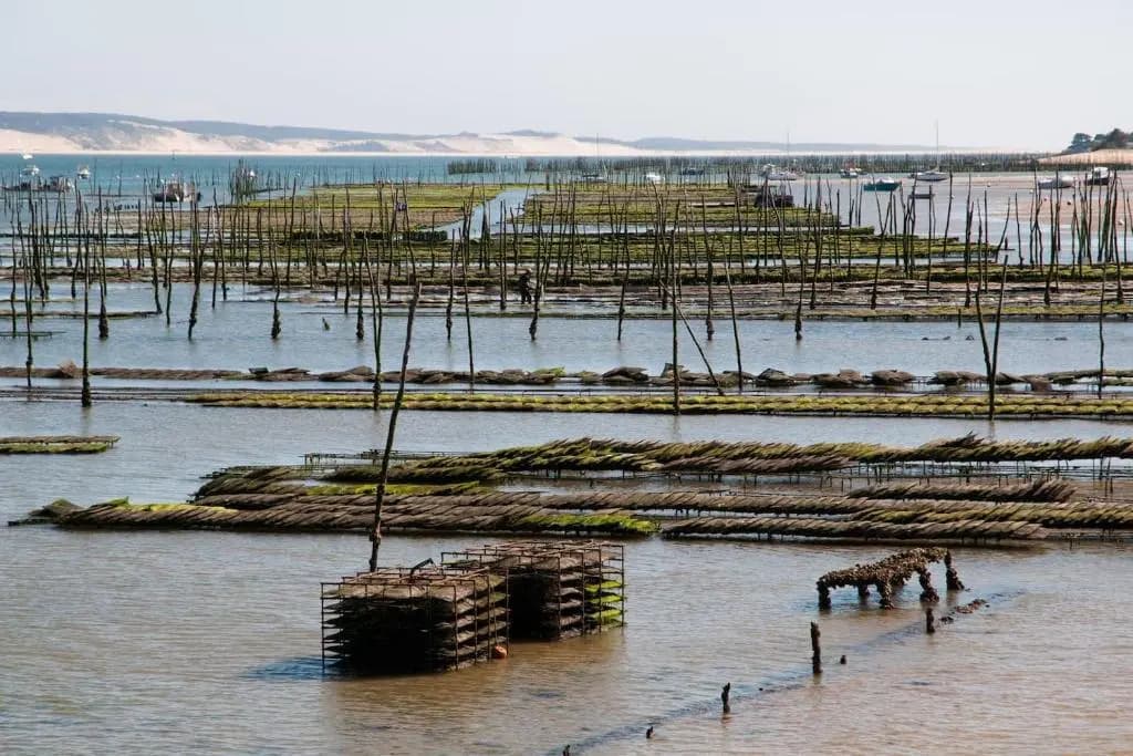 Maison Bassin d'Arcachon - Arès - Proche plage et commerces, 3 chambres, 8 personnes, climatisation - Miniature 6
