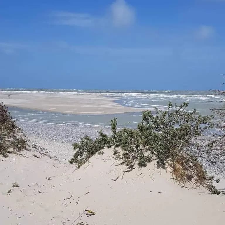 Un p'tit nid au Paradis - Photo 1