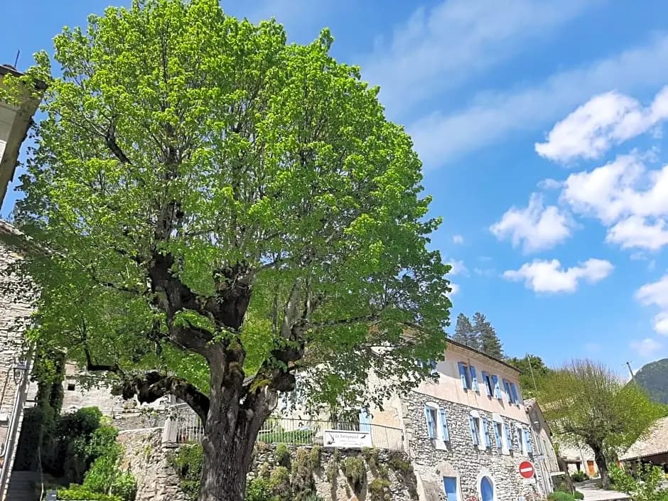 Le Sareymond - Photo 3