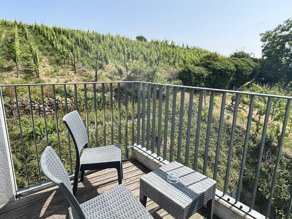 Best Western Plus Hotel & SPA Le Schoenenbourg - Miniature 8