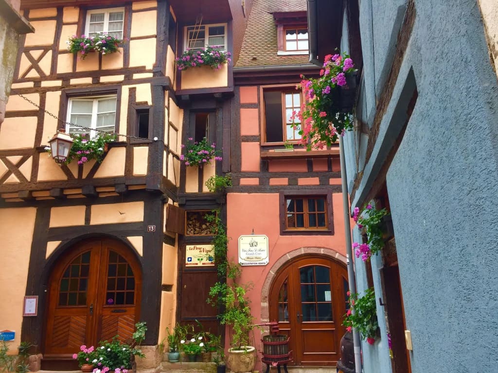 Apartment in Riquewihr Near Vineyards - Photo 1