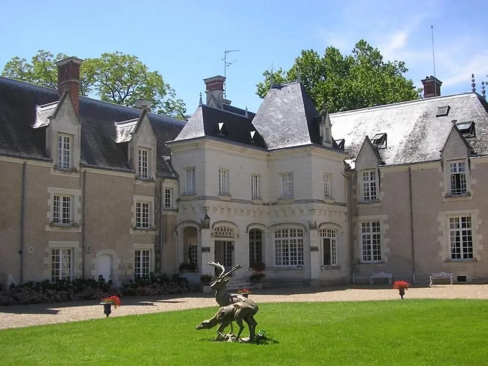 Château de Razay - Photo 1