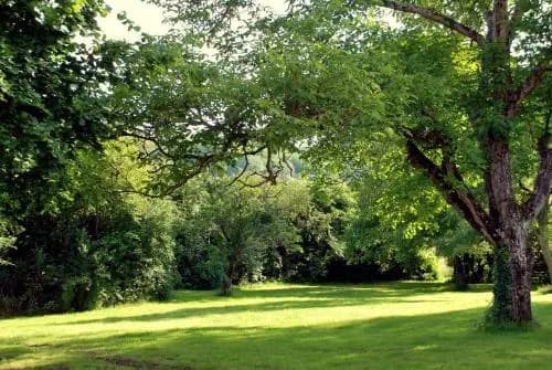 Domaine Les Bertrands - Photo 2