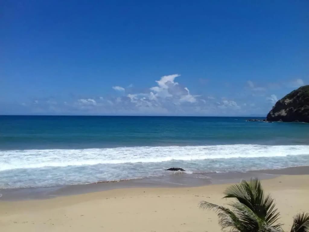 Bungalow Anse Figuier - Miniature 7
