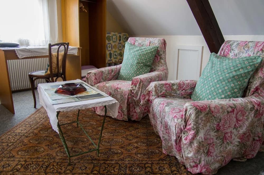 Hôtel de Bâle - Miniature 6