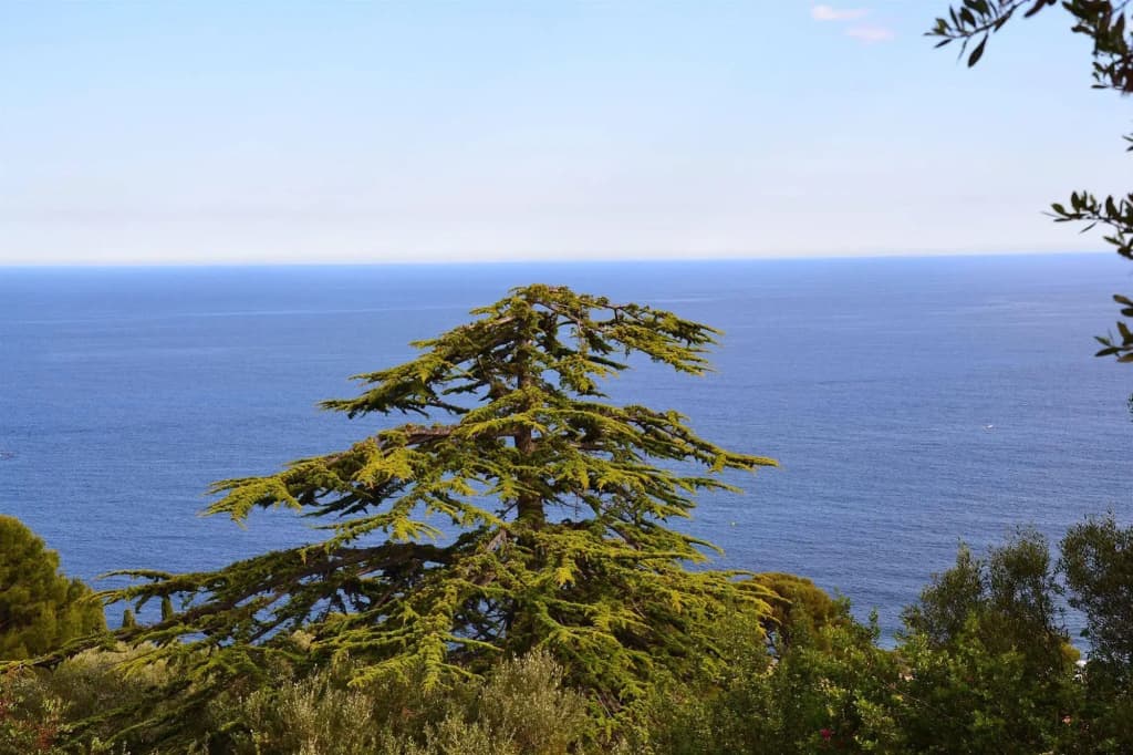 Villa Azur - Miniature 8