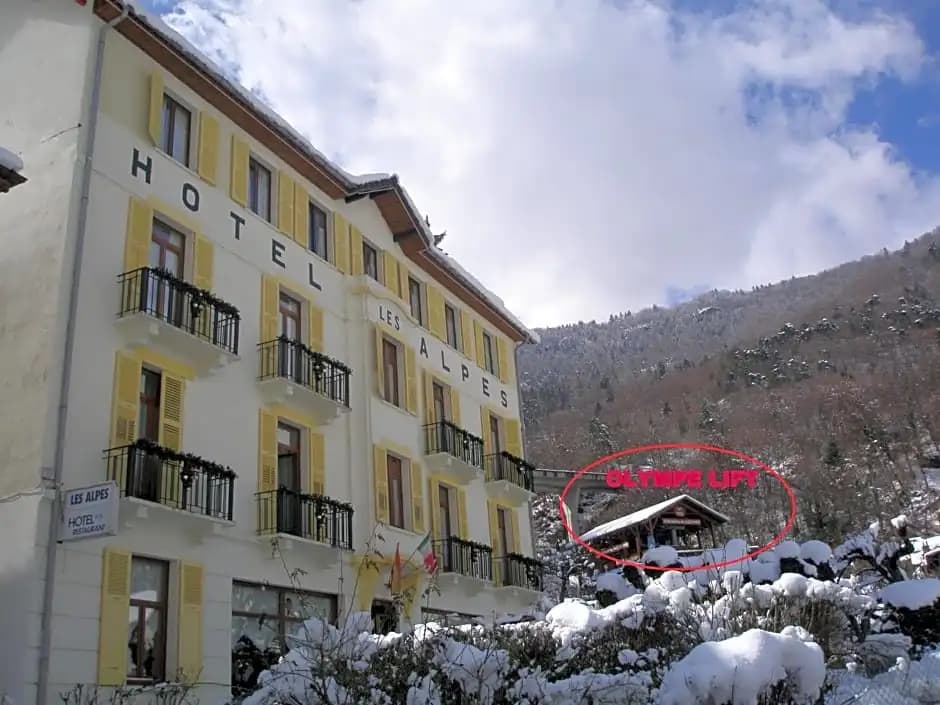 Htel des Alpes - Photo 1