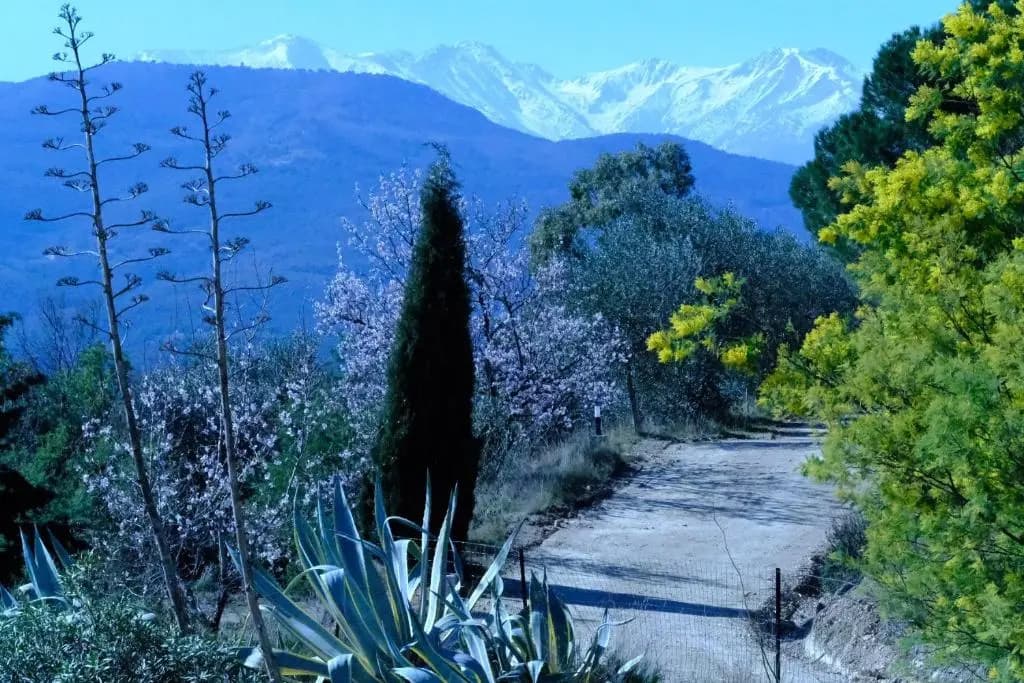 Mas D'en Llinas - Photo 1