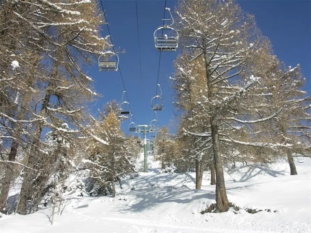 Chalet Saint-Michel-de-Chaillol, 3 pièces, 5 personnes - FR-1-393-89 - Miniature 8