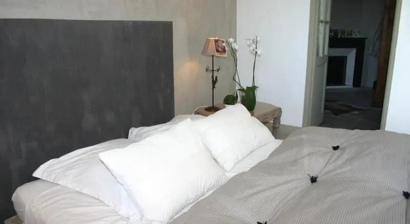 Boutique Hôtel Le Mas de l'Olivier - Photo 4