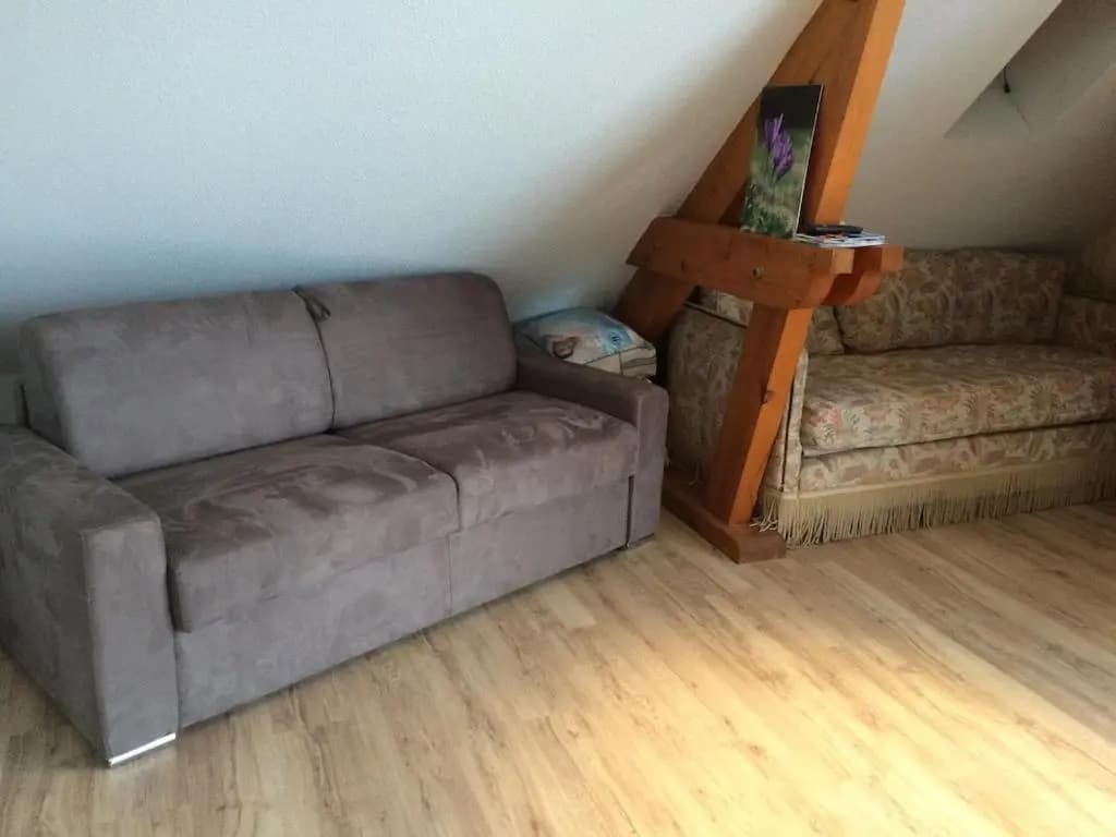 Appartement sur le bord du lac de fabreges - Photo 3