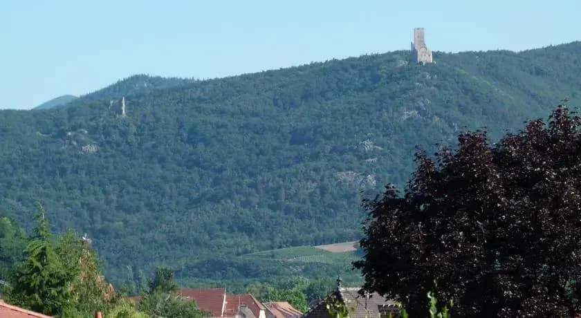 La Grange D'Alphonse - Photo 5