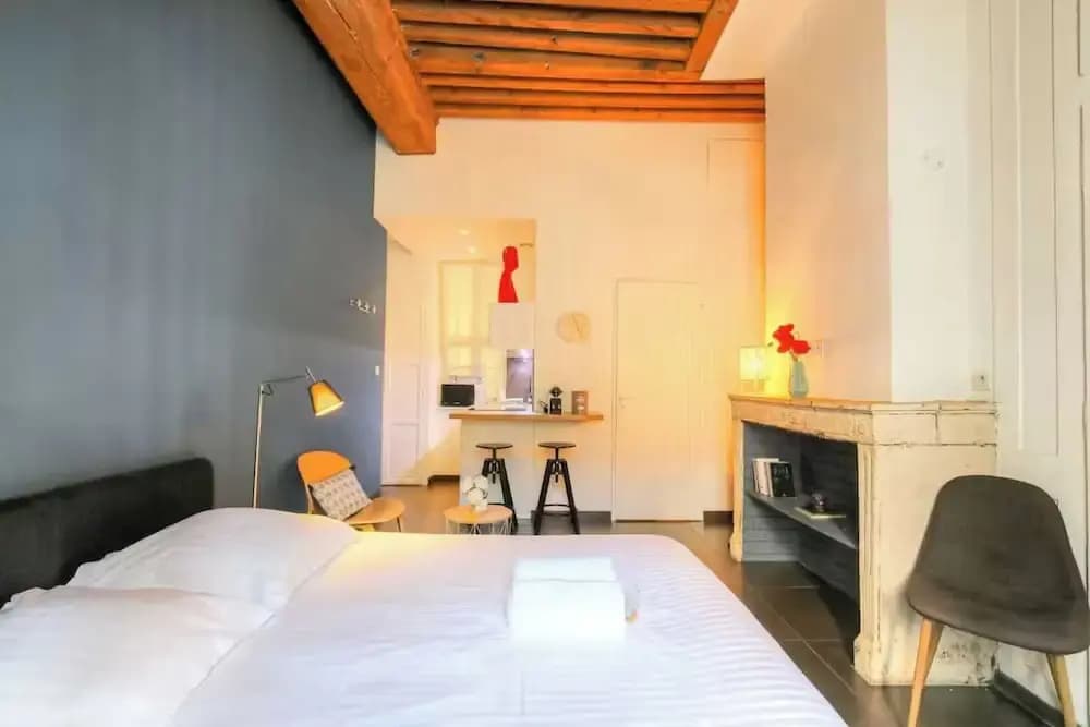 Dify Apartment Ainay - Photo 4
