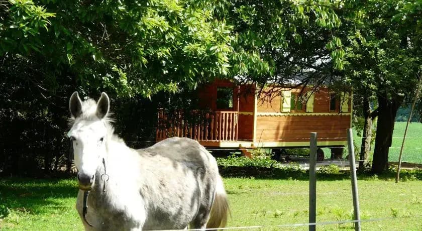 La Ferme de Lintever - Photo 5