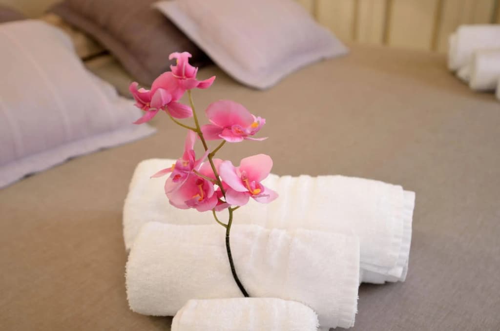 Suitelowcost Saint Tropez - Photo 2
