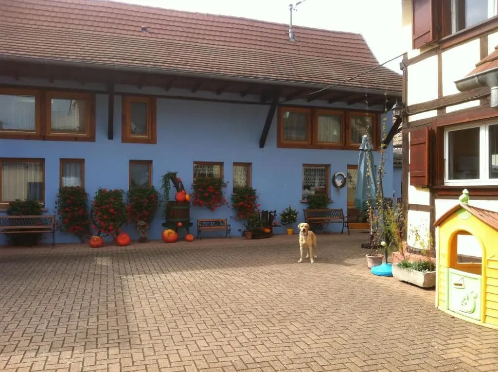 Mélodies d'Alsace - Photo 3