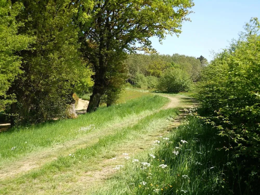 Cabane de la Bernardière - Photo 5