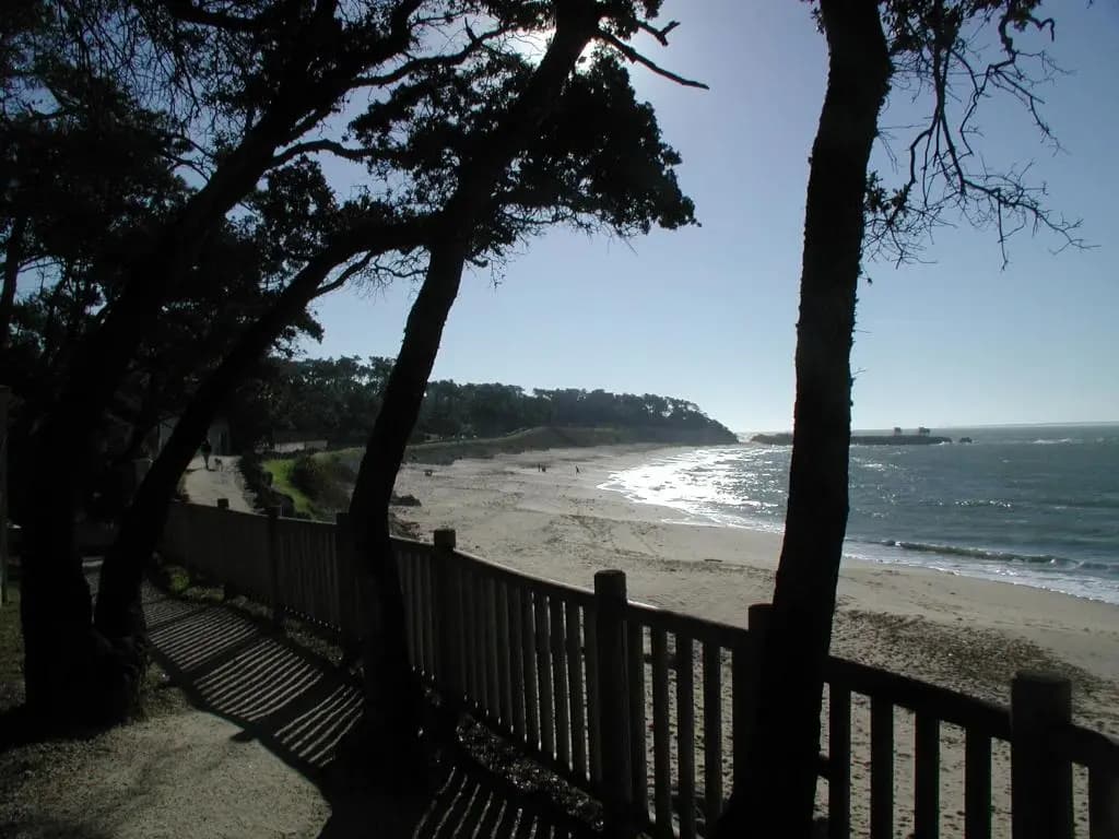 Studio Dunes aux Ecureuils - Photo 4