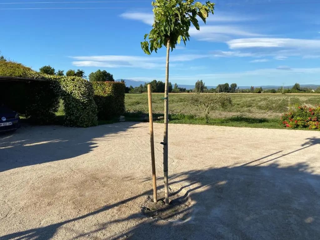 Location gîte campagne en Provence - Vaucluse - Photo 2