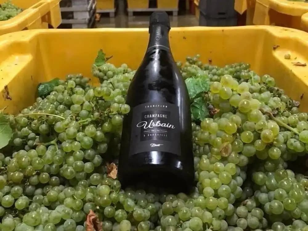 Champagne Urbain - Miniature 8