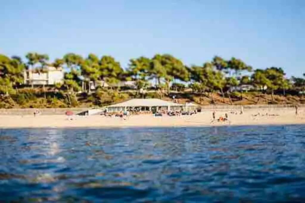 Bel appartement bord de mer 4 pers Arcachon centre - Miniature 8